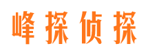 班戈市调查公司